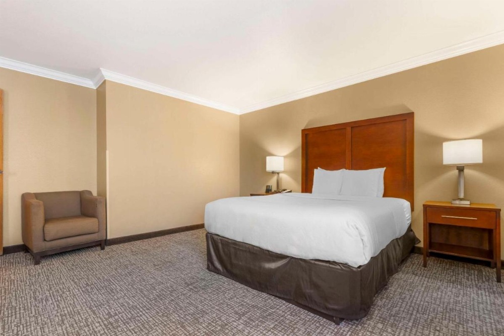 Comfort Inn & Suites Redwood Country Image 12