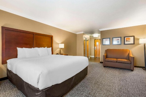 Comfort Inn & Suites Redwood Country image 14