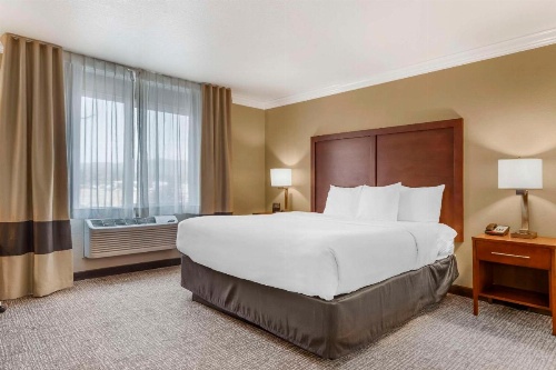 Comfort Inn & Suites Redwood Country image 15