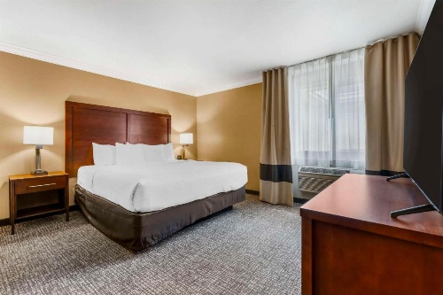 Comfort Inn & Suites Redwood Country image 16