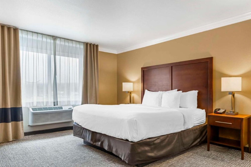 Comfort Inn & Suites Redwood Country Image 18