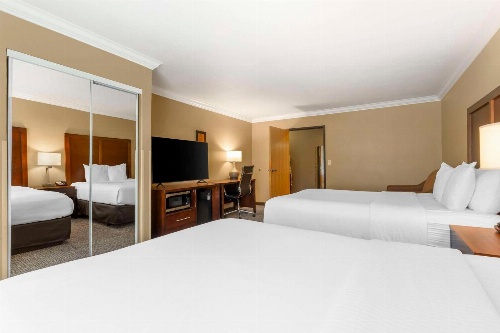Comfort Inn & Suites Redwood Country image 2