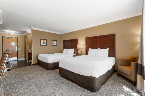 Comfort Inn & Suites Redwood Country image 28