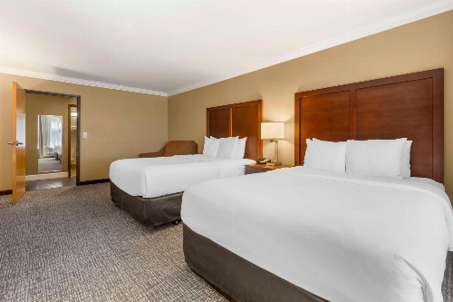 Comfort Inn & Suites Redwood Country image 3