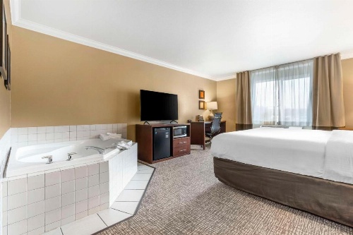 Comfort Inn & Suites Redwood Country image 32