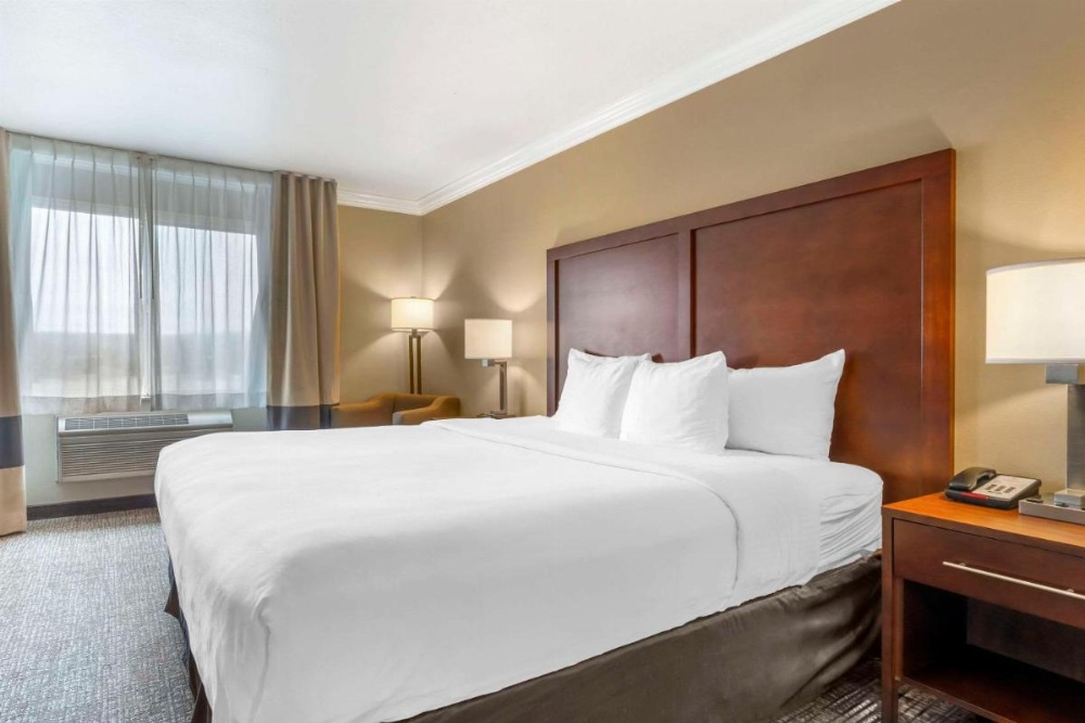 Comfort Inn & Suites Redwood Country Image 34
