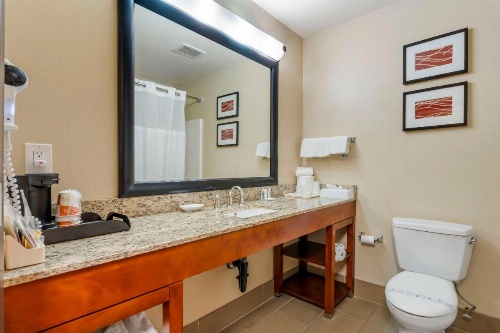 Comfort Inn & Suites Redwood Country image 35
