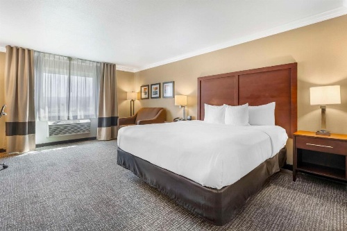 Comfort Inn & Suites Redwood Country image 38