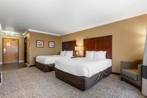 Comfort Inn & Suites Redwood Country image 40