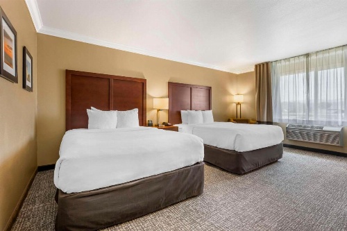 Comfort Inn & Suites Redwood Country image 41
