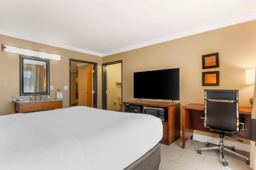 Comfort Inn & Suites Redwood Country image 5