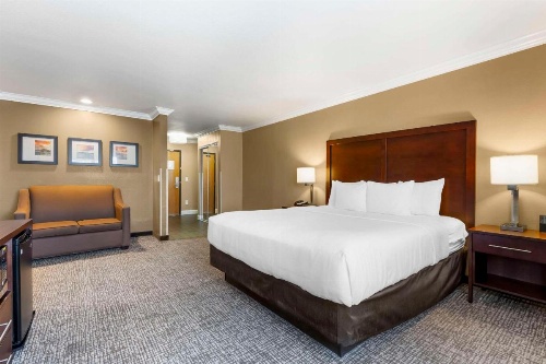 Comfort Inn & Suites Redwood Country image 9
